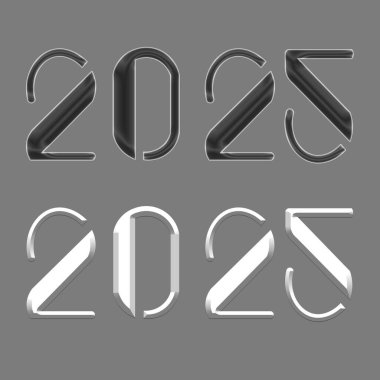 2025 Beyaz Yıl Yeni Yıl Seferi.