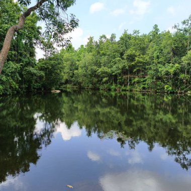 Göl resmi. Forest Gölü. Yaz manzarası. Göl ağaçlarla çevrili..