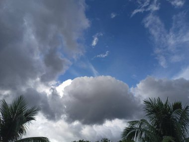 Fırtına Bulutları ve Palmiye Ağaçlarıyla Dramatik Gökyüzü