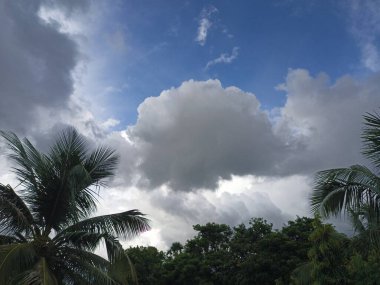 Tropik palmiye ağaçları üzerinde dramatik fırtına bulutları