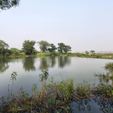 Etrafındaki ağaçları ve gökyüzünü yansıtan sakin bir gölet.