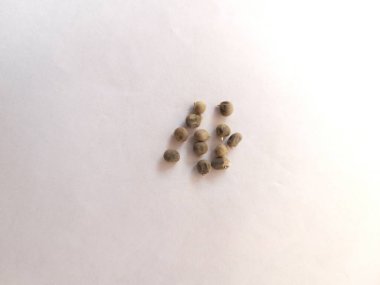 Beyaz Yüzeyde Küçük, Yuvarlak, Soluk Kahverengi Tohumların Yakın Çekimi