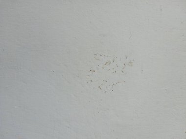 Yıpranmış açık gri bir duvara yakın çekim ince desenli ve küçük koyu benekli.