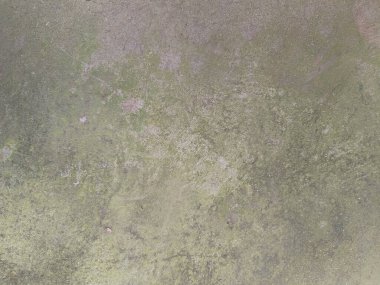 Moss ve Lichen ile desenli zemin