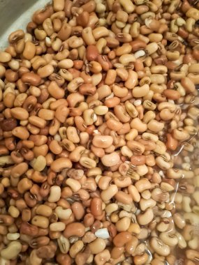 Bezelye sırılsıklam olmuş..