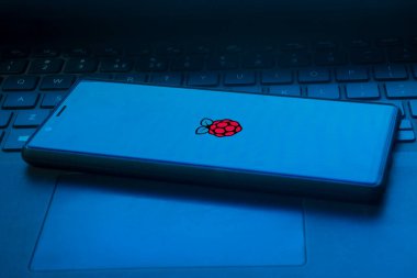 Dhaka, Bangladeş 01 Aralık 2024: Akıllı telefon ekranında ahududu Pi logosu işareti.