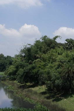 Nehir ve ormanlı güzel bir manzara.
