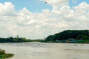 Bangladeş 'teki nehir ve ağaçların manzarası