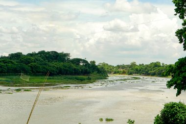Bulutlu bir gökyüzünün altında yemyeşil ağaçlarla çevrili bir nehir, dinginlik saçıyor.