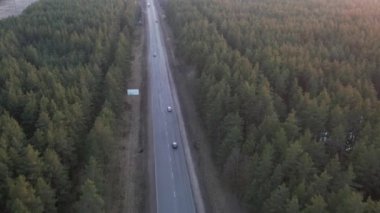 Ormanın ortasında sonbahar yolu. Bir sürü araba. Yüksek kalite 4k görüntü