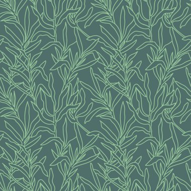 Tarragon seamless pattern. Linear Floral ornament with hand drawn aromatic garden herbs, leaves outline print. Vintage botanical vector illustration