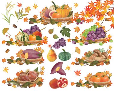 Clip art of autumn taste series set of fruits and vegetables and nuts, and basket and autumn maple leaves. clipart