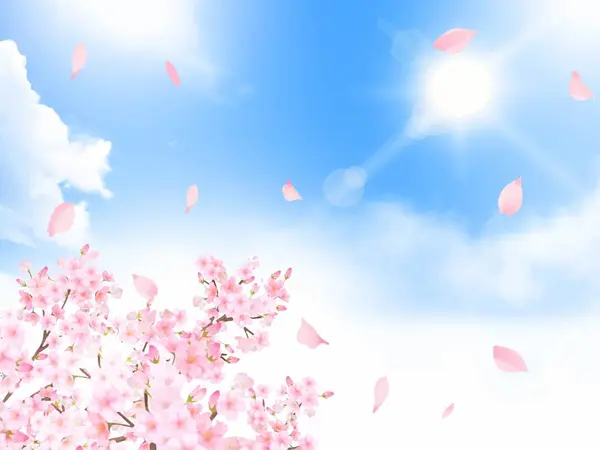 Vector çerçeve arkaplan çizimi güzel ve görkemli kiraz çiçekleri ve taç yaprakları taze mavi bahar gökyüzünde bulutlarla dans ediyor.