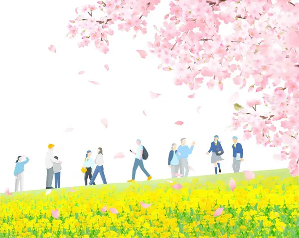 Çeşitli insanlar kiraz ağaçları ve tecavüz çiçekleri kıyısında yürüyorlar.