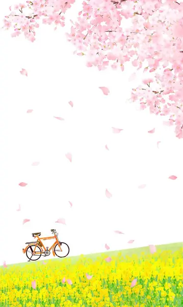 Kiraz ağaçları ve tecavüz çiçekleri kıyısı boyunca bir bisikletin vektör çizimi, beyaz arka plan, dikey ekran boyutu.