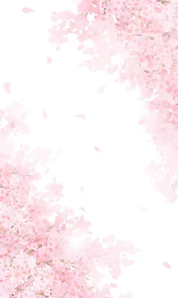 Güzel açık pembe kiraz çiçekleri ve taç yaprakları iPhone ve diğer dikey ekran boyutları için beyaz arkaplan çizimi.