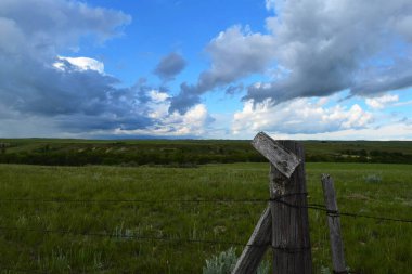 Çit taşı, kapının bir tarafı, çayırlık arazinin önü.. 