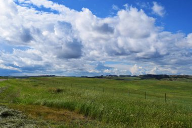 Prairie County Montana manzaralı ve çakıl yolu boyunca çitleri var..