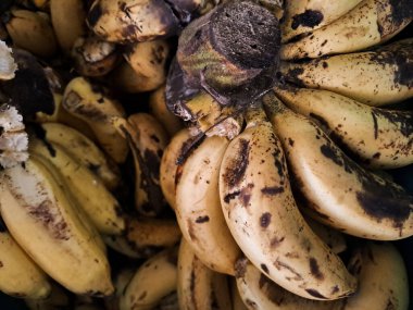 Piyasaya sürülen pek çok taze sarı muzun tam çerçeve arka planı