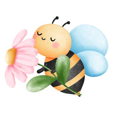 Arı ve pembe papatya, suluboya böcek çizimi, doğal güzellikle vızıldayan, bahar zamanı için mükemmel, sevgililer günü, ve kart maiking,