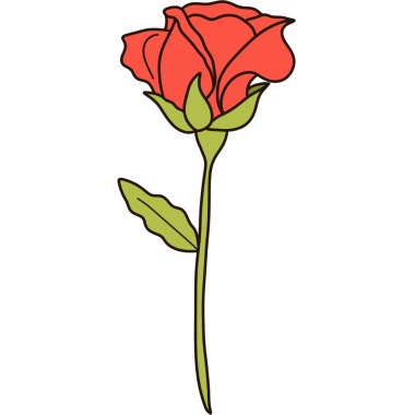 Kırmızı gül çiçeği çizimi