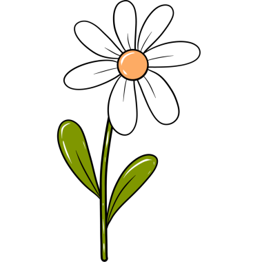 Beyaz papatya çiçeği, bahar çiçeği çizimi.