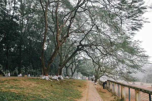 Parkın güzel manzarası