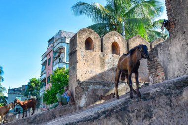 Dünya mirasının en ünlü simgesine sahip antik kentin eski şehri. Sonakanda Kalesi, Bangladeş 'in Narayanganj kentinde bulunan bir nehir kalesidir. Sonakanda Kalesi, Babür döneminde korsanlardan korunmak için inşa edilmiş bir su kalesidir..
