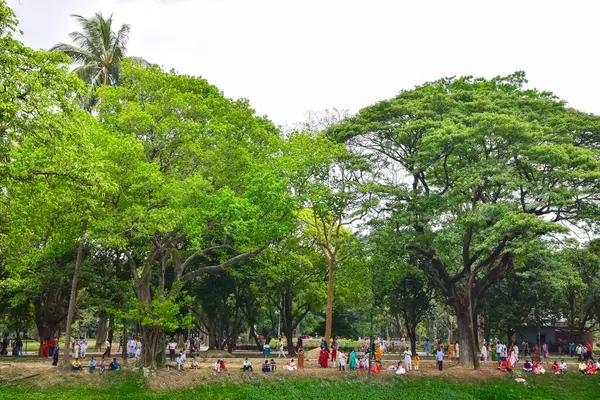 stock image people in the park