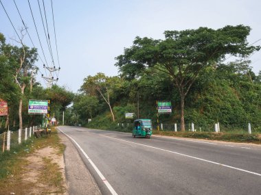 Ormanda yeşil yol ve mavi gökyüzü.