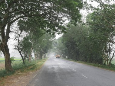 Sabahları kırsal yol.