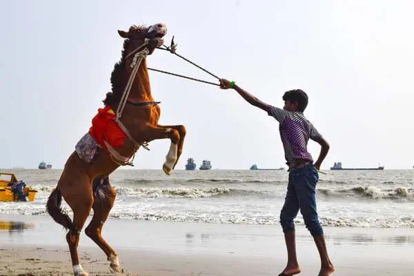Hindistan, Rajasthan 'da sahilde ata binen genç Hintli kadın.