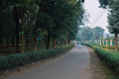 Şehir parkının güzel manzarası