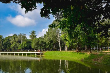 Ağaçlı ve göletli güzel manzara