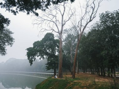 Parkta nehri olan güzel bir manzara.