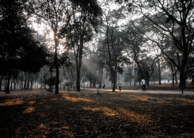 Parkta yürüyen insanlar.