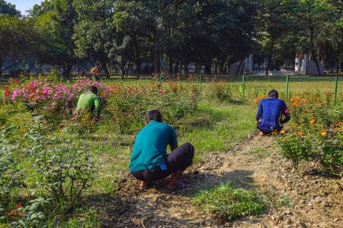 Genç adam ve kadın parkta yürüyorlar.
