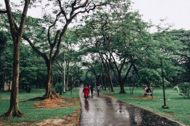 Yağmurlu bir zamanda parktaki insanlar. 