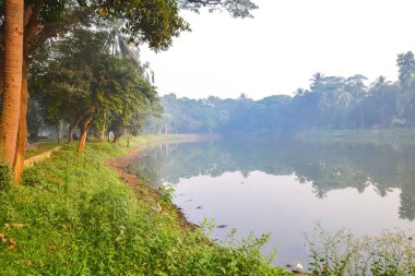 Nehir ve ağaçlarla dolu güzel bir manzara