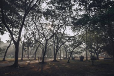 Parkın güzel manzarası ve insanlar parkta yürüyor ve egzersiz yapıyor..