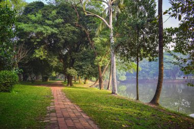 Kışın parkın güzel manzarası güneş ışınları ve insanlar sabah yeşil doğada yürüyor ve egzersiz yapıyorlar.. 