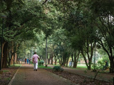 Genç bir çift parkta yürüyor.