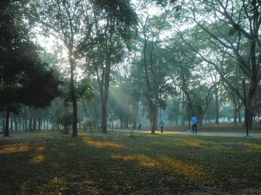 Parkın güzel manzarası