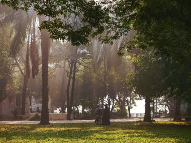 Sabahları parkın güzel manzarası.