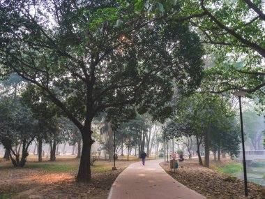 Parkın güzel manzarası