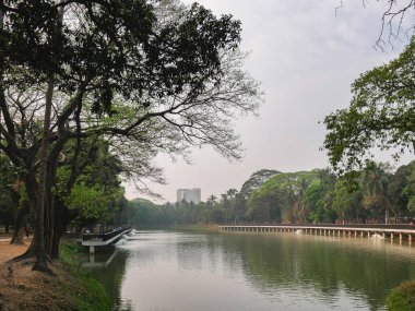Parkın güzel manzarası