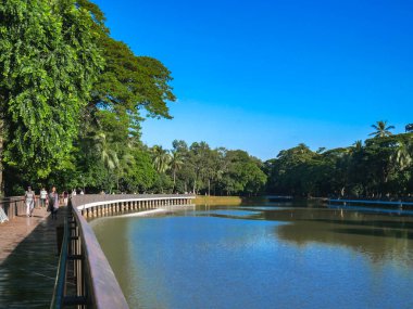 Göl manzaralı bir park.