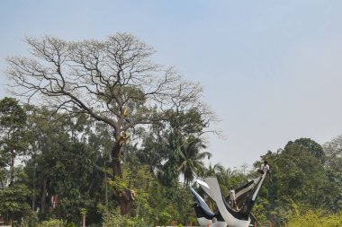 Parktaki bir ağacın yakın çekimi.