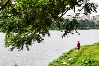 Parktaki gölün güzel manzarası