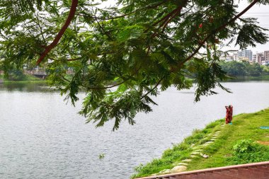 Parkın güzel manzarası